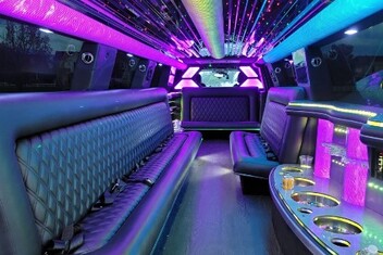 Cape Coral Limo Interior